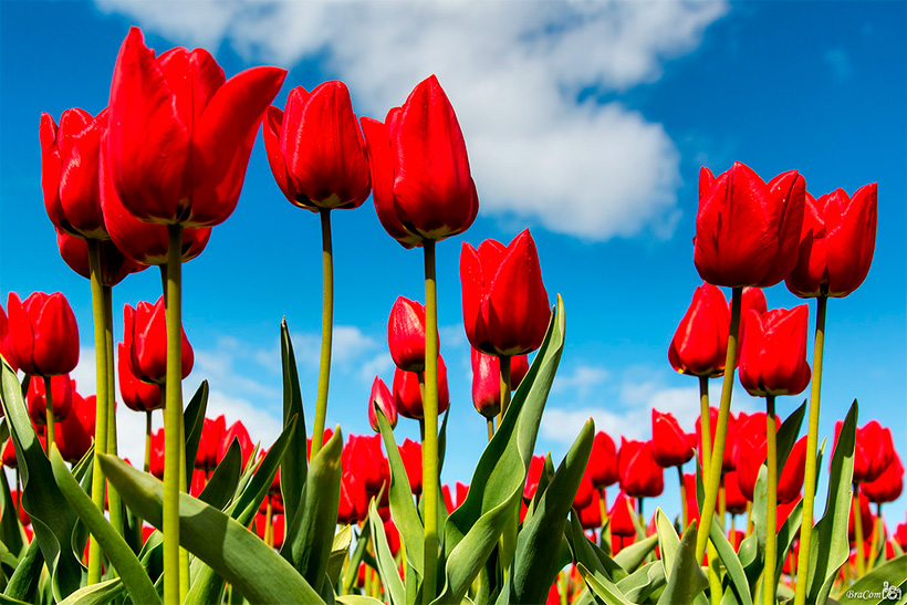 График работы на майские праздники