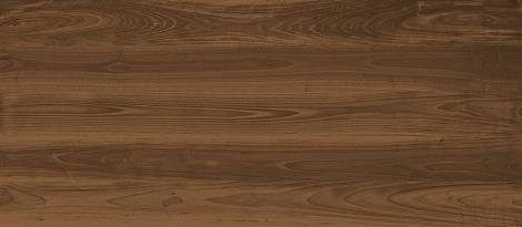 Керамогранит Log Anthology Dark Walnut 120x278 - 6mm (HGA1)