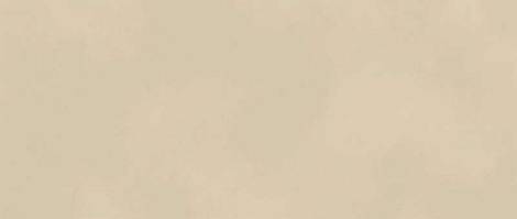 Плитка Boost Color Cream 50x120 (AKM2) 