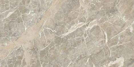 Керамогранит Marvel Next Aurelia Vein 60x120 Silk (HGJN)