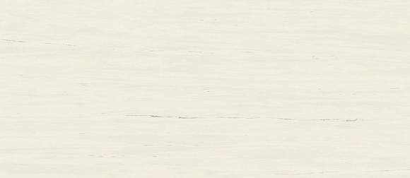 Керамогранит Marvel Bianco Dolomite 120x278 Matt (A2RS)