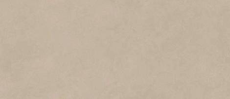 Плитка Boost Natural Ash 50X120 (A64Q)  
