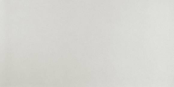 Arkshade White 120x240 (AUGX) Керамогранит