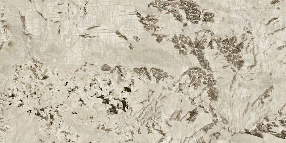 Керамогранит Marvel Epic Alpinus 60x120  