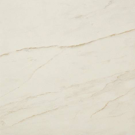 Керамогранит Marvel Cremo Delicato 60x60 (AVGD) 