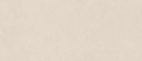 Плитка Boost Natural Kaolin 50X120 (A64P)  