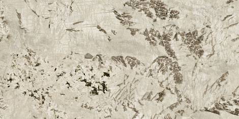 Керамогранит Marvel Epic Alpinus 60x120