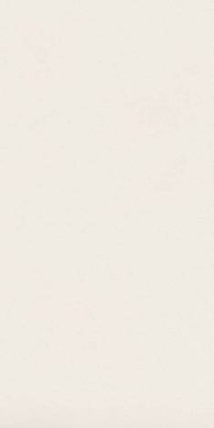 Керамогранит Absolute White Matte 159x324 20 mm (AIRU) 