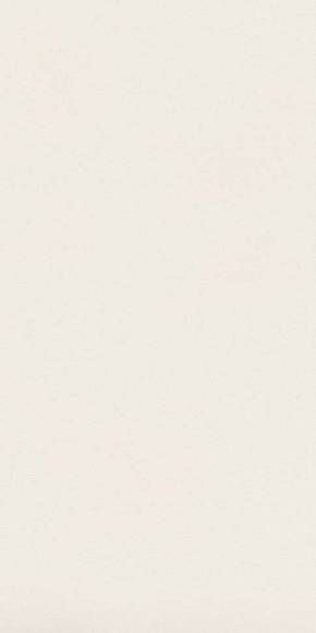 Керамогранит Absolute White Matte 159x324 20 mm (AIRU) 