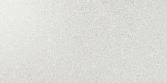 Arkshade White 30x60 Lappato (D195) Керамогранит