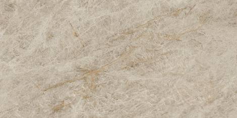 Керамогранит Marvel Epic Taj Mahal Noisette 60x120