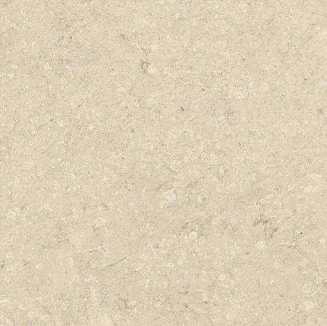 Керамогранит Nyra Utopia Acacia 60x60 (HGF2)