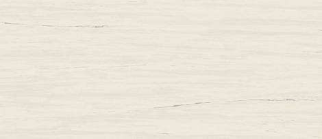 Marvel Bianco Dolomite 50x120 (A4S4) Керамическая плитка