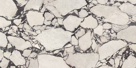 Керамогранит Marvel Epic Calacatta Viola 60x120 Lapp.