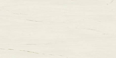 Керамогранит Marvel Bianco Dolomite 60x120 (A21C) 