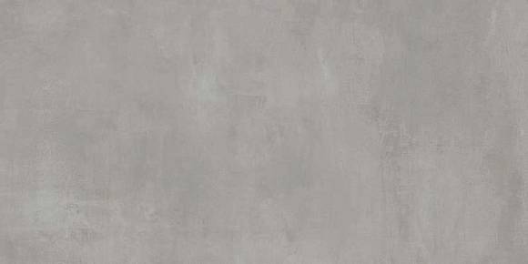 Rinascente Grey 60x120 (610010002649) Керамогранит