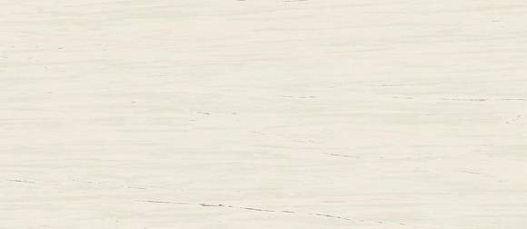 Керамогранит Marvel Bianco Dolomite 120x278 Lappato (A0BP) 