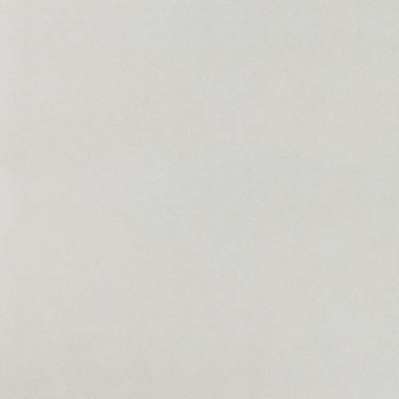 Arkshade White 120x120 (AUG1) Керамогранит