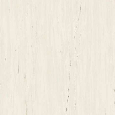 Керамогранит Marvel Bianco Dolomite 120x120 (A204) 