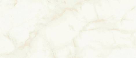 Плитка Marvel Calacatta Delicato 50x120 Silk (A4TT)