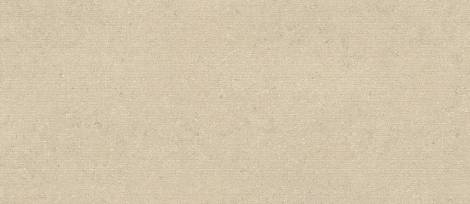 Керамогранит Nyra Utopia Acacia Ribbed 120x278 - 6mm (HGE7)