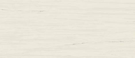 Плитка Marvel Bianco Dolomite 50x120 (A4S4) 