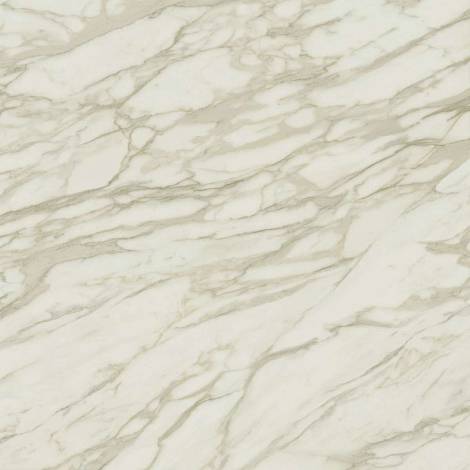 Керамогранит Marvel Royal Calacatta 120x120 Lappato (AENP) 